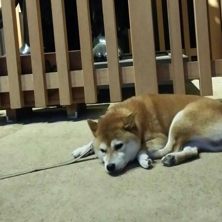 36b6e43c df79 4db8 910c 653b948e6a97