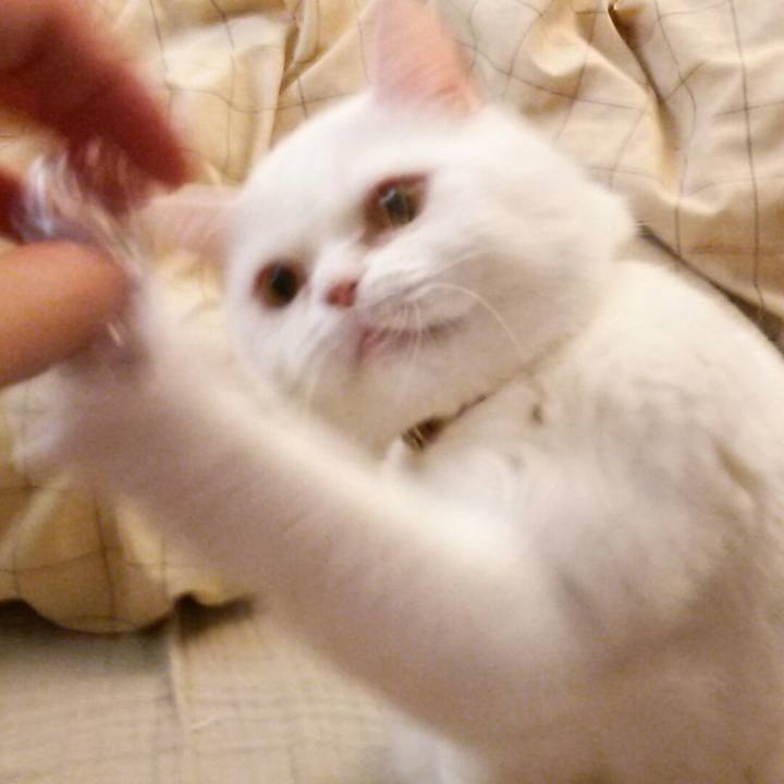 36b6efec d769 4862 ab62 ee12b590fa67