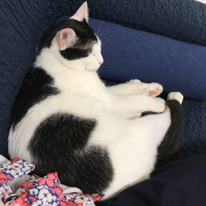 36b71e0e c753 472a b289 4b0862620230