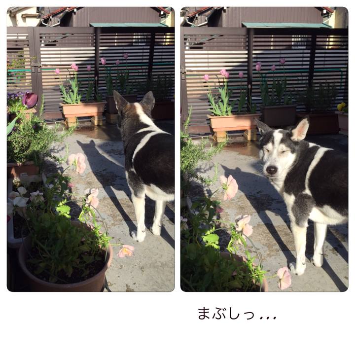 36b745a2 2620 4c21 8e1b 5d308921b038