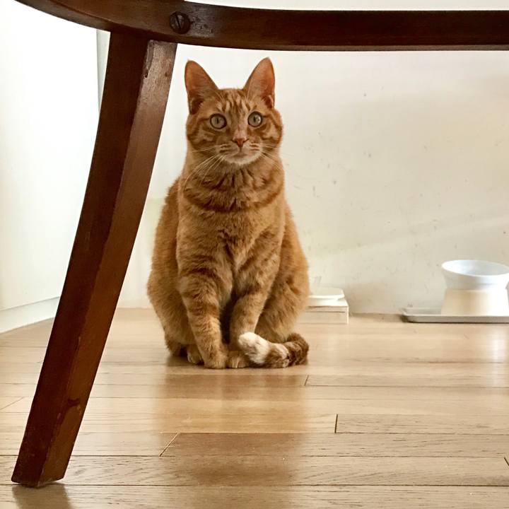 36b761ad d5d6 4606 841a ba1677e77161