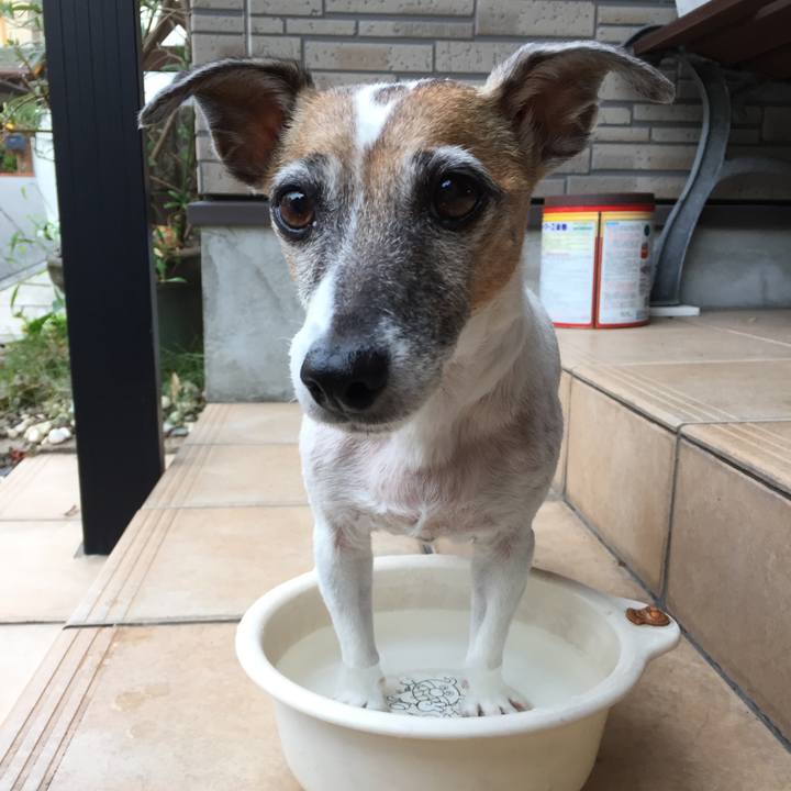 36b7ad4a a06b 451e 9154 a978ab818b08