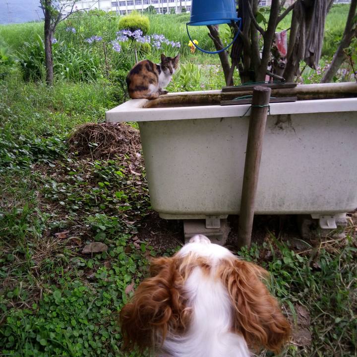 36b7e325 eb41 4083 ad8b 8efee9a3f7c7