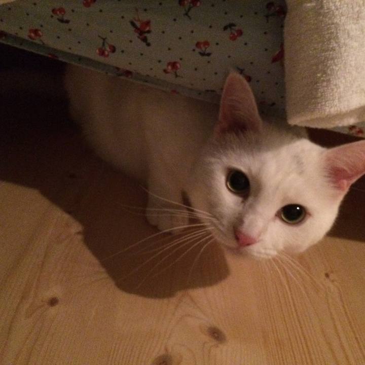 36b8c57c 95ec 4951 9bb2 79a4d7f3c170