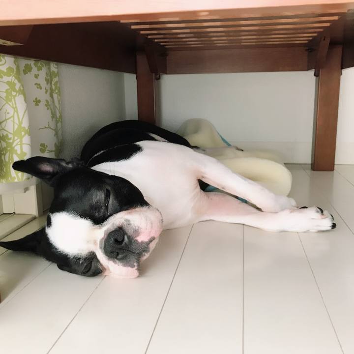 36b8c5a8 5920 4648 ac33 32b54d3d3b69