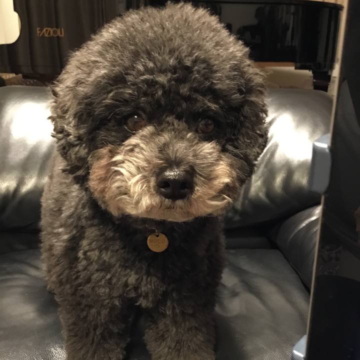 36b95d9c 6ece 4a38 a852 35e949ec447b