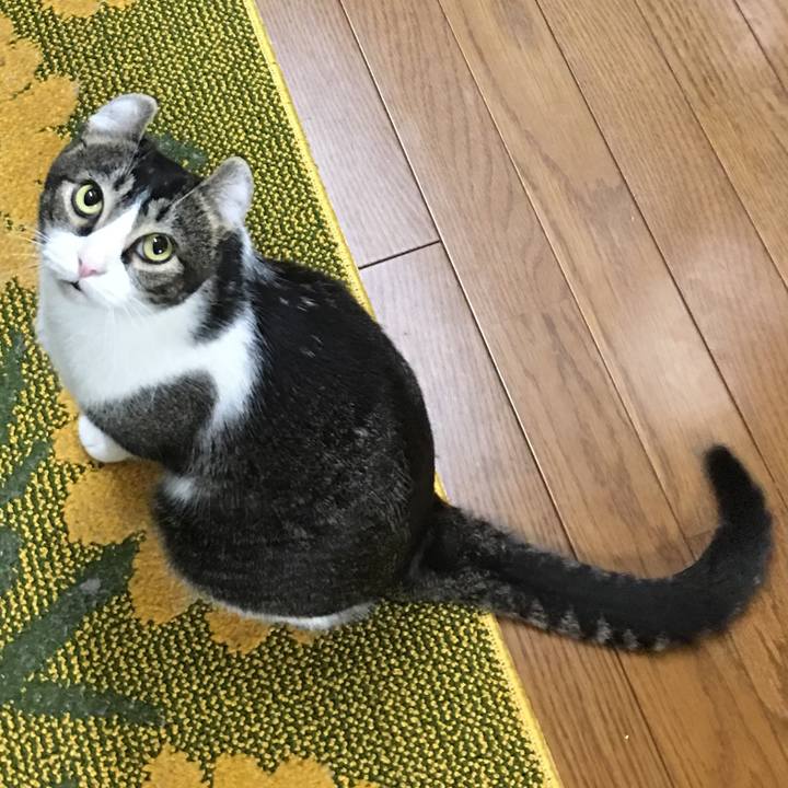 36b9b937 019c 4e3c ba40 76e12ae875cc