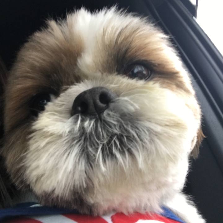 36b9f629 8ad9 470c 85b4 5fa99edc095d