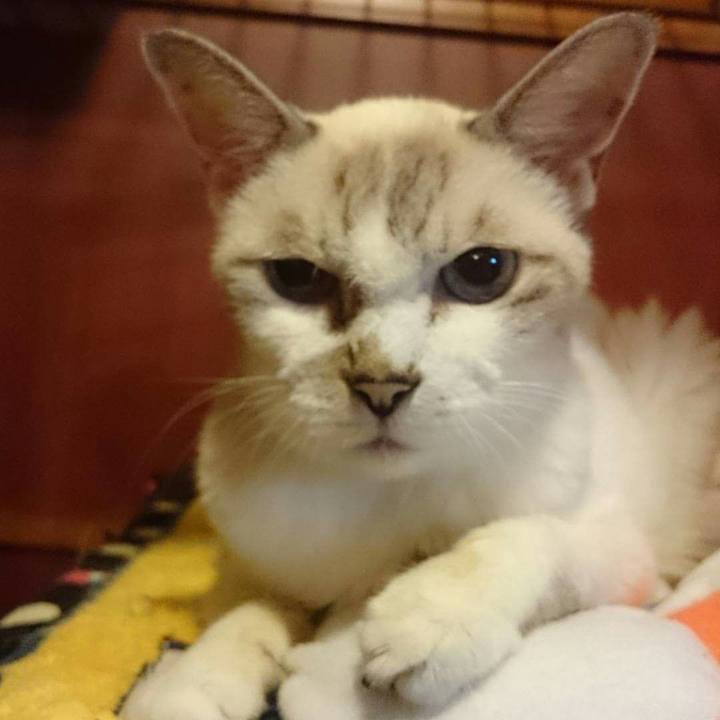 36baecbc 06d6 47b2 9d48 e703bad4f2de