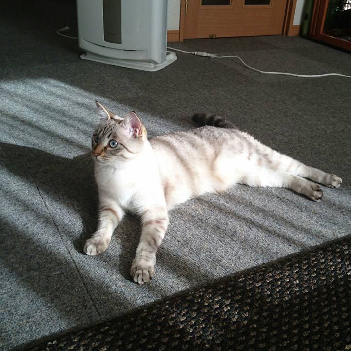 36baff62 f718 4c5a 9567 a1544ca21e8c