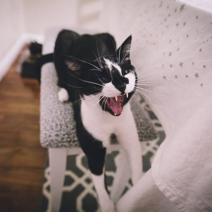 36bb45a6 545a 4d3e 8cc6 b6c548de3e43