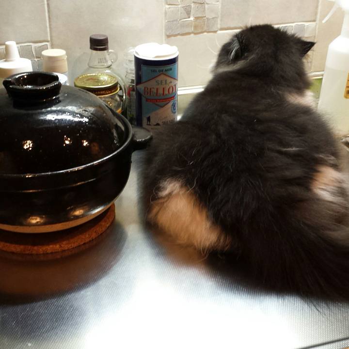 36bb525d 38dc 4745 8669 b4ee2c8543a5