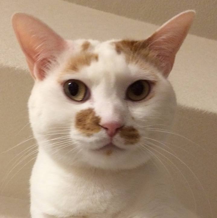 36bbfe2d 5ea6 41ba 8ff8 717b9c995b70