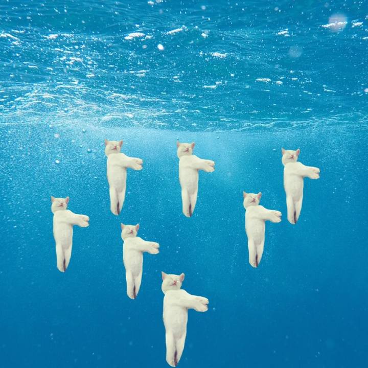 36bd5842 8c54 4664 a48f 91180bbea3ea