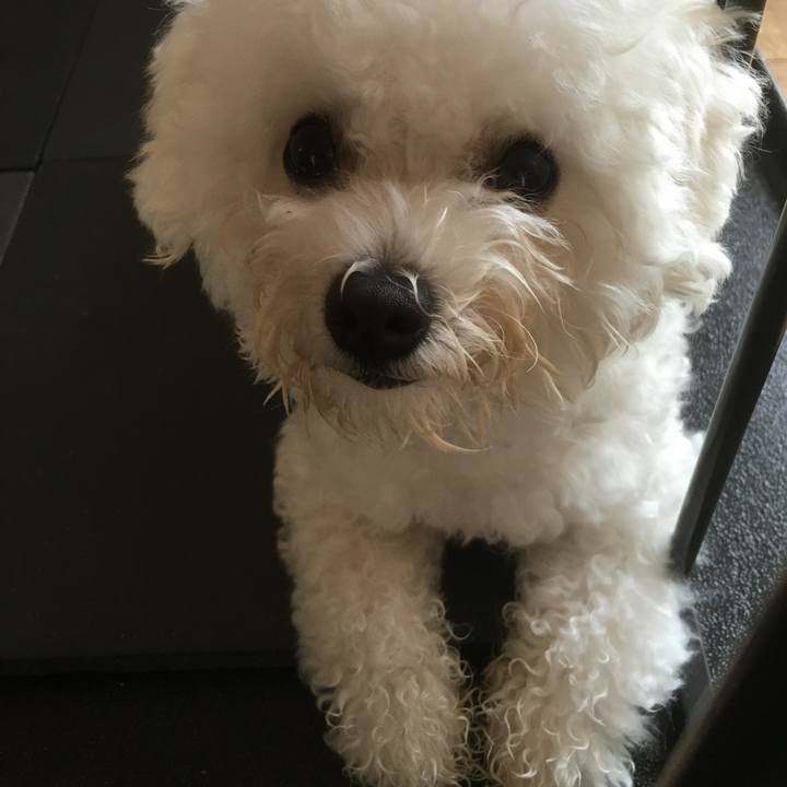 36bd600f 86d8 48c1 bd16 bf355b3a5715