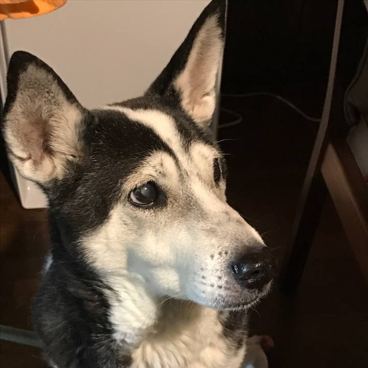 36bdeed7 72c3 4c16 a7a4 fde8cac3a1eb