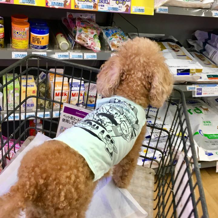 36bfd013 0590 4e6c 8086 b023f893fd56