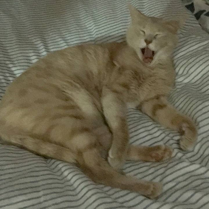 36c06788 8e13 408a b8cd 090b79887980