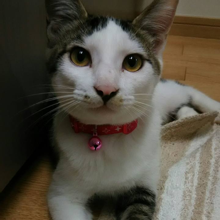 36c0b73d 224b 4157 bbfe 4d85e3e5a799