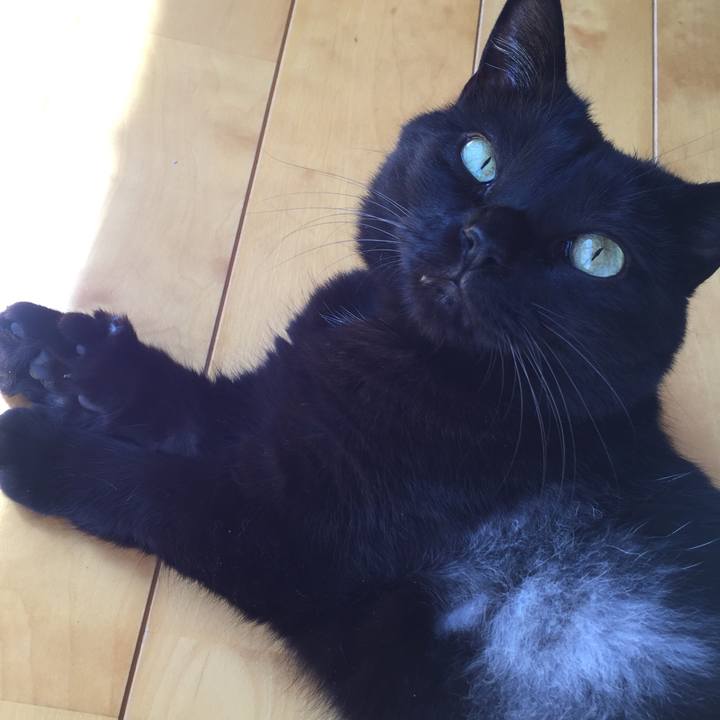 36c0c2fc 3888 4d86 b33b a7cb8ee87d36