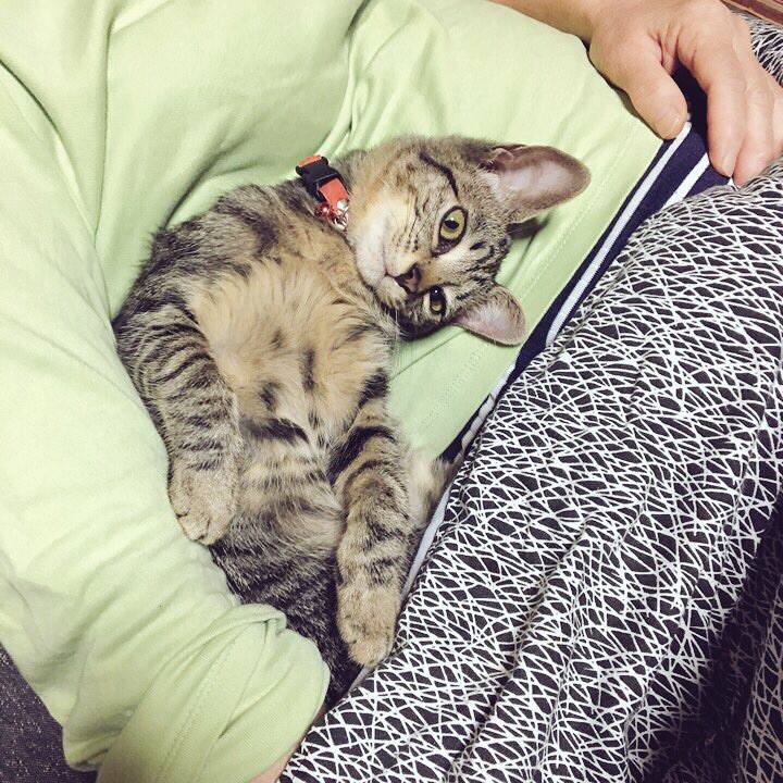 36c102b9 b0a3 4da4 b7ed 4900229083ac