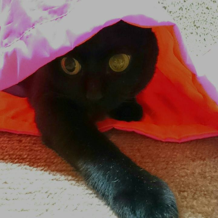 36c1de0c 8540 4b09 a075 8591503a383d