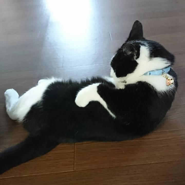 36c1e2f2 0d22 44e5 b0dc a4da6c4842f3