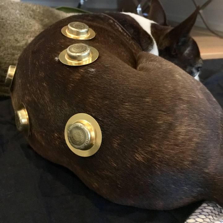 36c2163f dc7b 4289 a168 00c20c356446