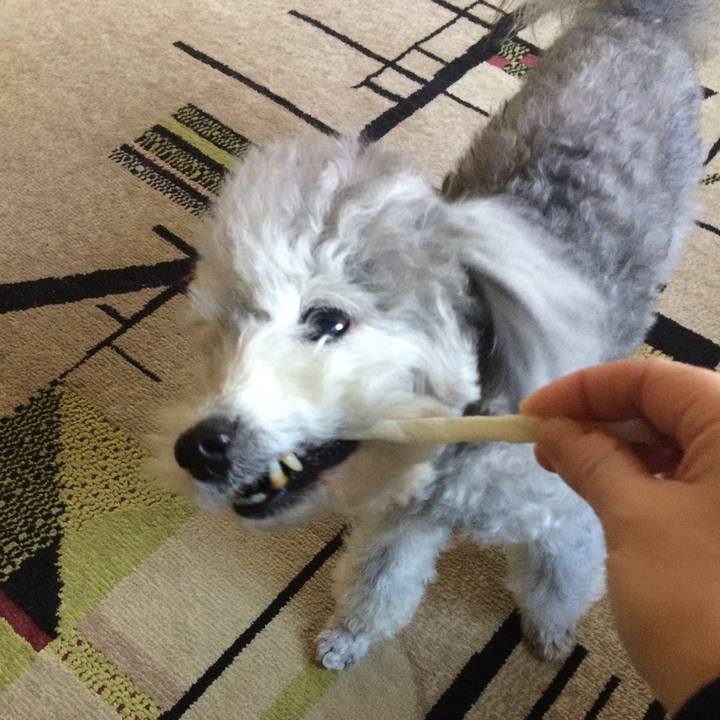 36c22547 e91f 4fdb b6f0 eb75c184f58e