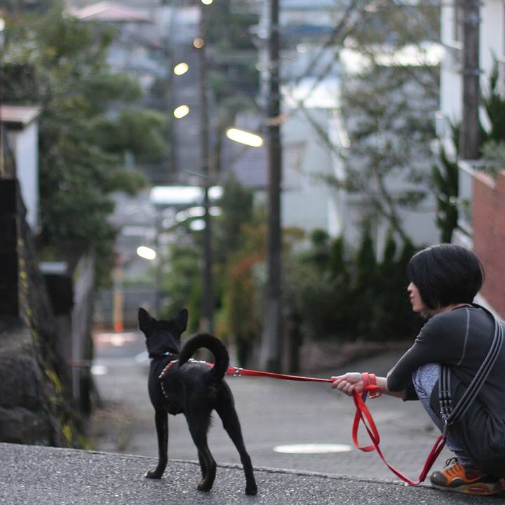 36c23f3e 0a9b 4370 a0c2 3360f207c31e