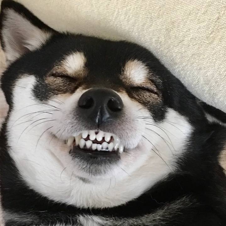 36c34ac3 9672 4cb4 8427 dc1483edccbf