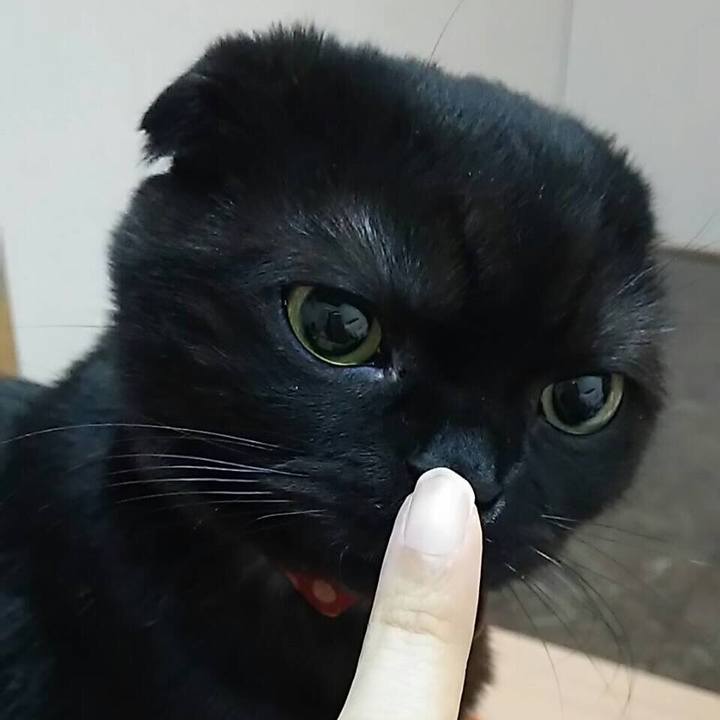 36c37be6 cdb0 4109 9df1 dec68aea614d