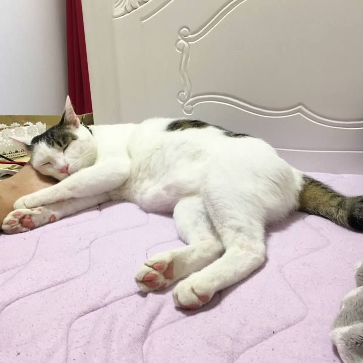 36c562e1 d5ed 4d7f 8cbd b4801123fd32