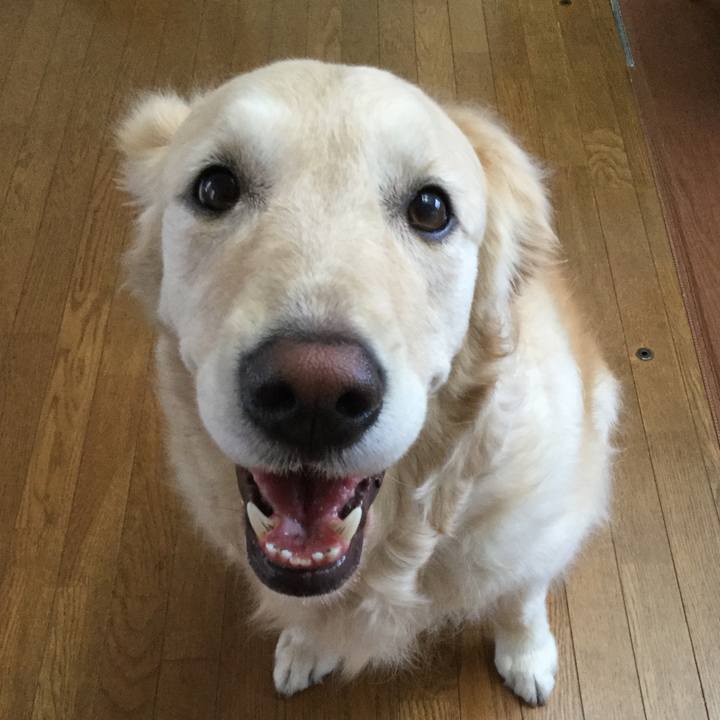 36c57738 26aa 49d1 bf6e d1d3be1a4ebf