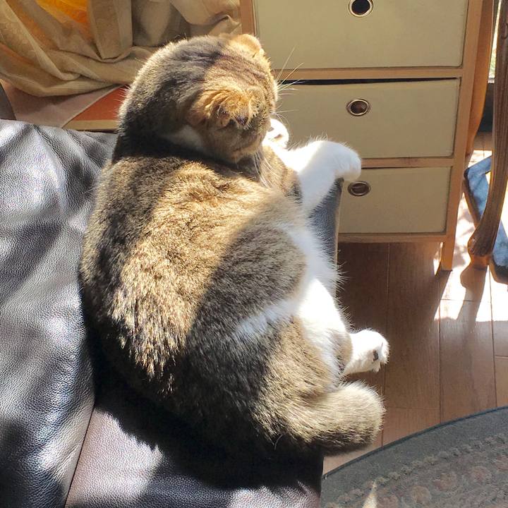 36c58d9b 28a5 4a29 a15b 498f980e242b