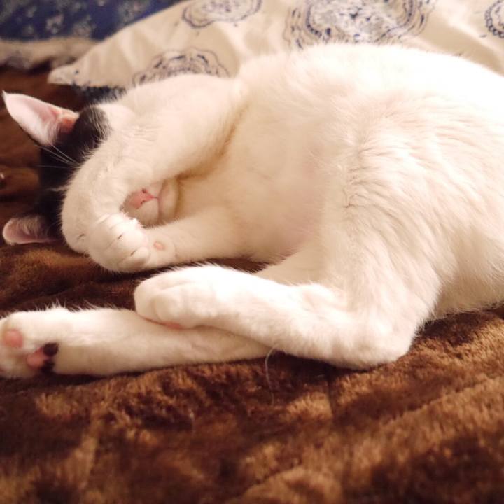 36c68858 d653 4e9f 8bf5 18d626353710