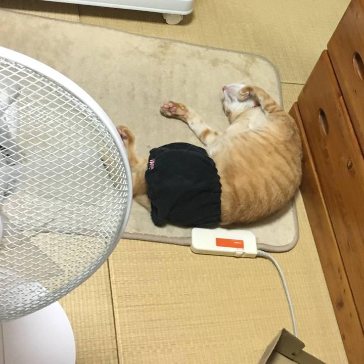 36c71c57 07cf 4183 928f 08be2b855299