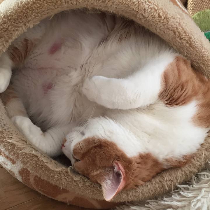 36c729ba 9064 40be 8eb1 c99f5ff7e4a5