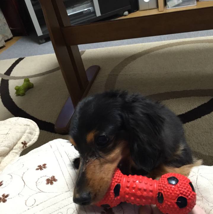 36c76160 591e 4762 95c1 f4bea11031a2