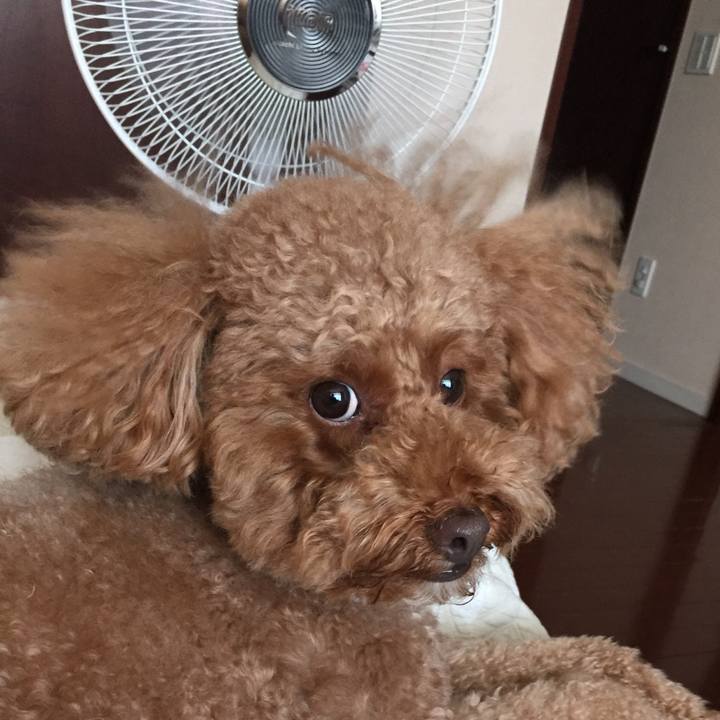 36c79691 3599 4a36 b866 3380ba511771