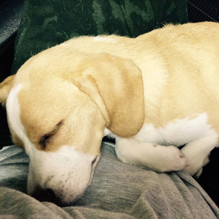 36c7ecd3 fc5e 426c b978 2a335eb24886