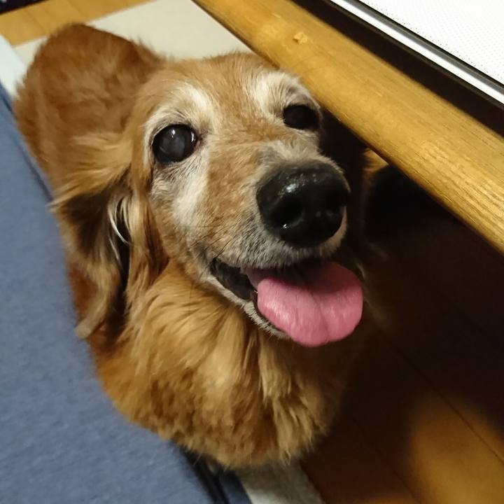 36c82dc8 dbcb 4976 96a3 e14ef8a8bd2a