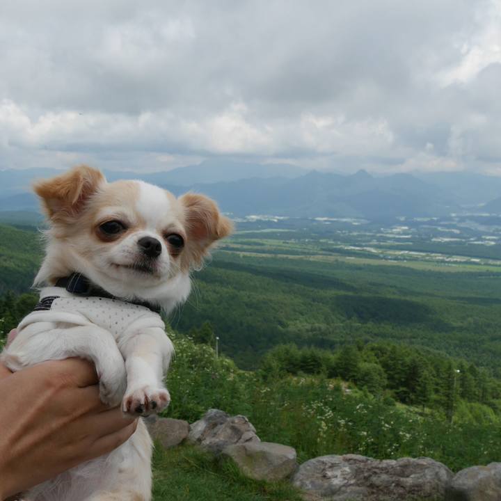 36c899b7 f5b8 46f1 beb9 288fd193cff0