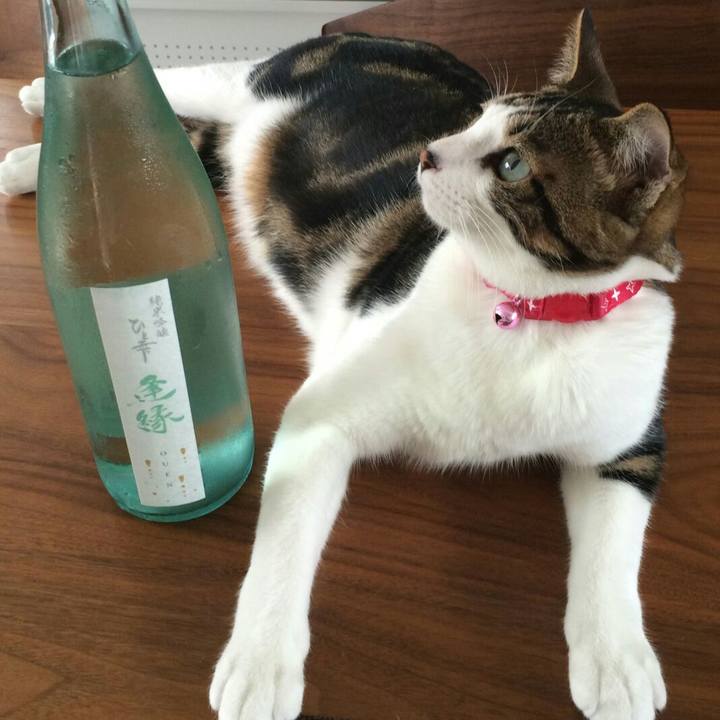 36c8b653 6731 442a 9cf5 6a74cf9f67c6