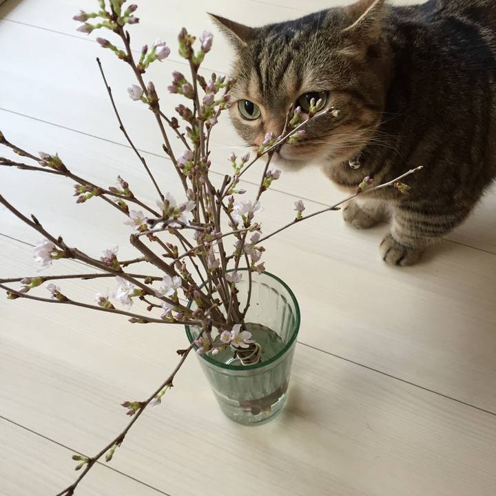 36c8e3ed 15fb 4601 ac48 a9a5f409ce72