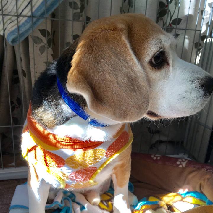 36c8ff06 1c7c 43e3 8c10 2569eaf56b55