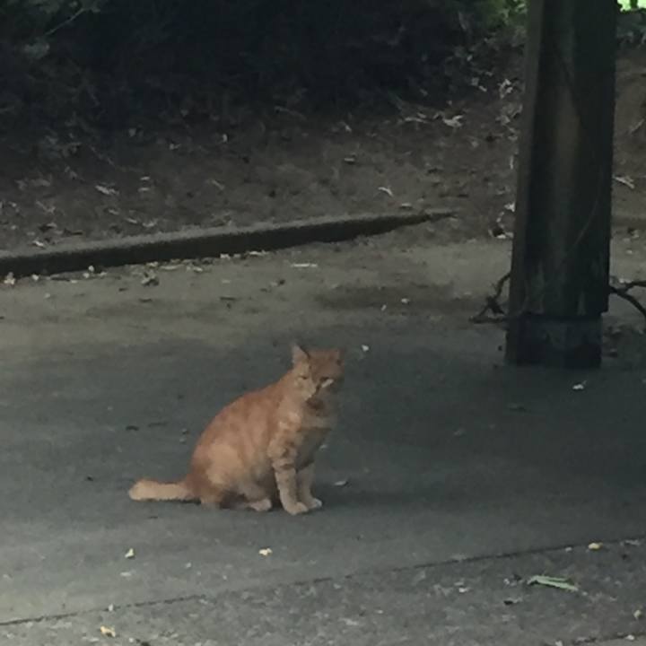 36c923b8 14ee 423d 8e56 feda1bee1693