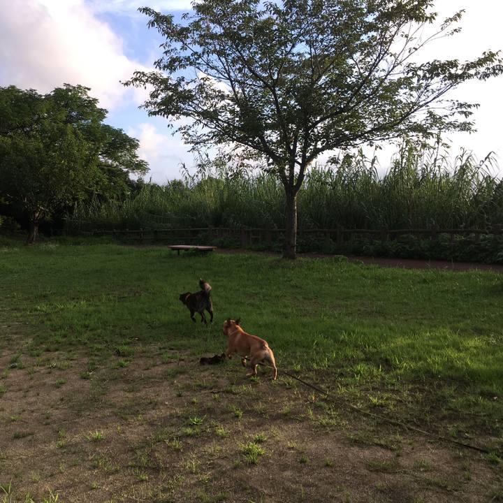 36c9deb8 0333 4a65 a927 6f4854aa10c6