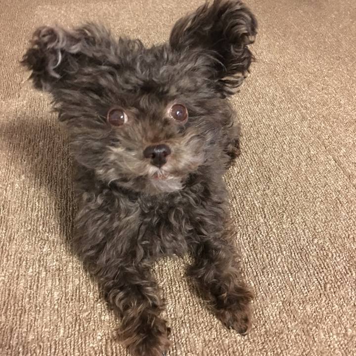 36c9ffc4 7c72 49d6 9348 b97a481fbd5b