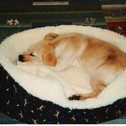 36ca0d3b f18d 4b7b 995e a237e67ac245